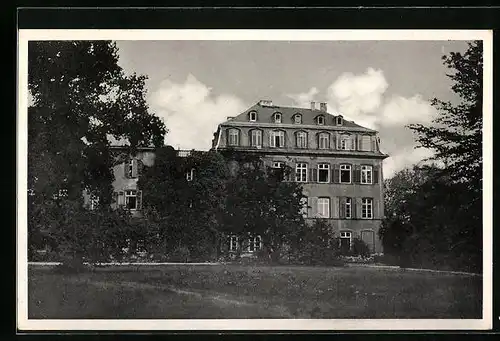 AK Assenheim, Schloss Assenheim