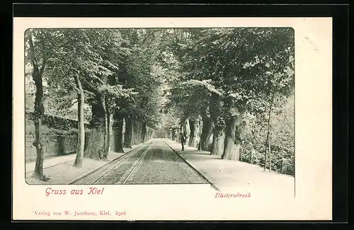 AK Kiel, Düsternbrook