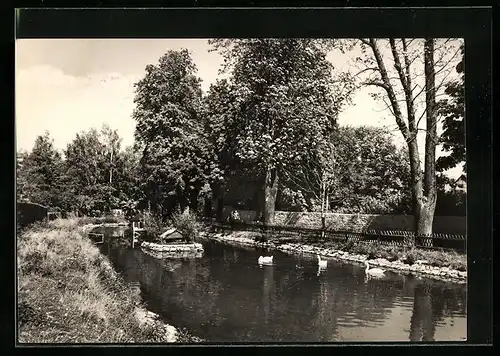 AK Kölleda b. Sömmerda, Partie am Schwanenteich
