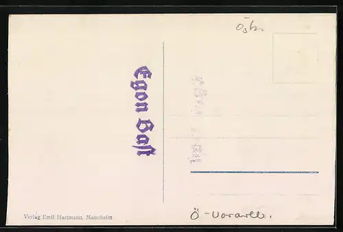 AK Schwarzenberg /Bregenzerwald, Teilansicht