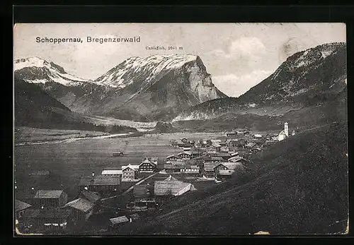 AK Schoppernau /Bregenzerwald, Teilansicht mit Canisfluh