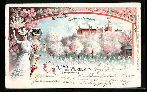 Lithographie Werder a. H., Etablissement Wachtelburg mit Baumblüte