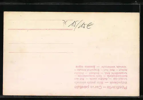 AK Potsdam, Einzug des Kronprinzenpaares am 20.06.1905
