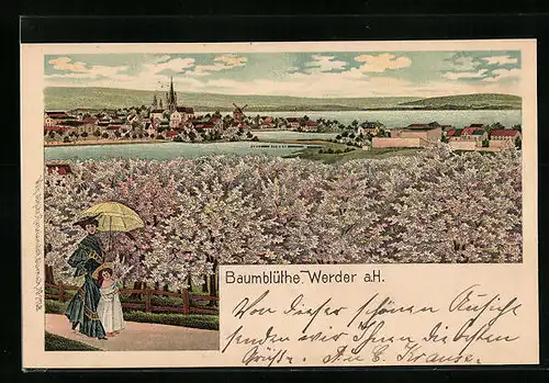 Lithographie Werder a. H., Totalansicht in der Baumblüte