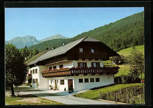 AK Olang, Garni Birkenheim mit Strasse