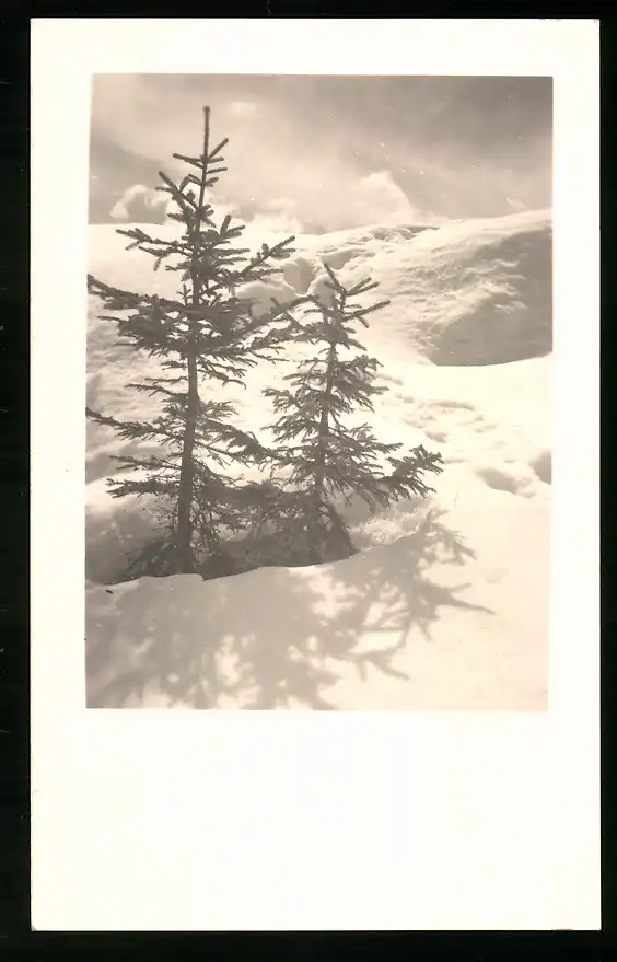 550 Fotografien Neue Sachlichkeit, Ansicht Hofgastein, 30er-40er Jahre, Amateurfotograf Franz Schneider, Österreich 13