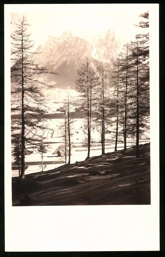 550 Fotografien Neue Sachlichkeit, Ansicht Hofgastein, 30er-40er Jahre, Amateurfotograf Franz Schneider, Österreich 14
