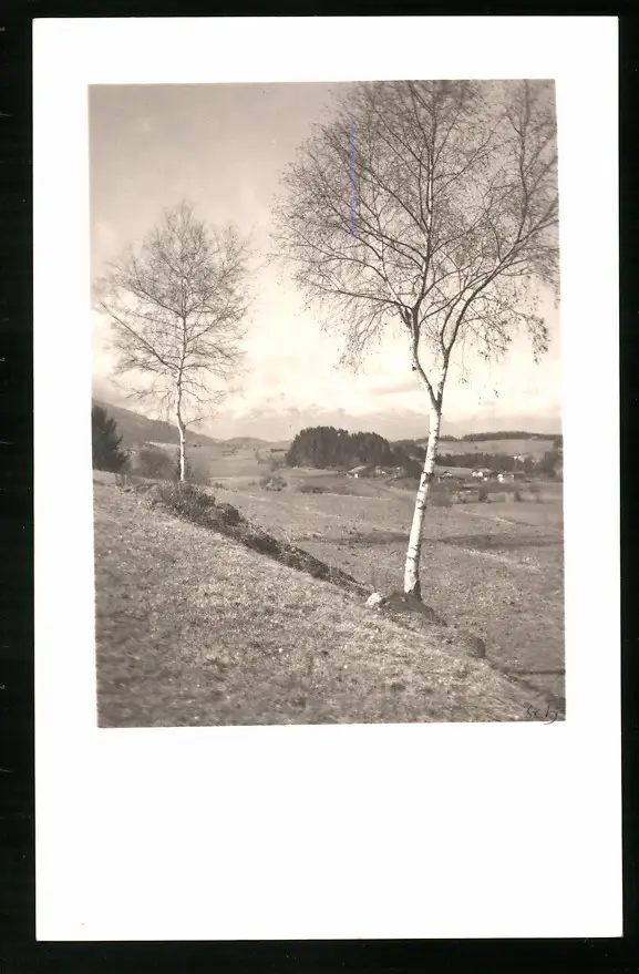 550 Fotografien Neue Sachlichkeit, Ansicht Hofgastein, 30er-40er Jahre, Amateurfotograf Franz Schneider, Österreich 15