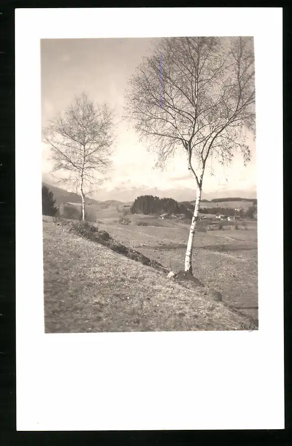 550 Fotografien Neue Sachlichkeit, Ansicht Hofgastein, 30er-40er Jahre, Amateurfotograf Franz Schneider, Österreich 15