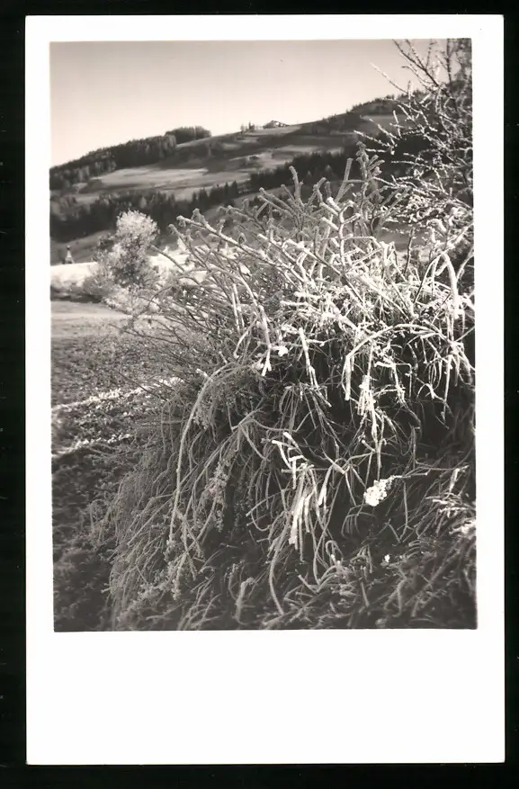 550 Fotografien Neue Sachlichkeit, Ansicht Hofgastein, 30er-40er Jahre, Amateurfotograf Franz Schneider, Österreich 16
