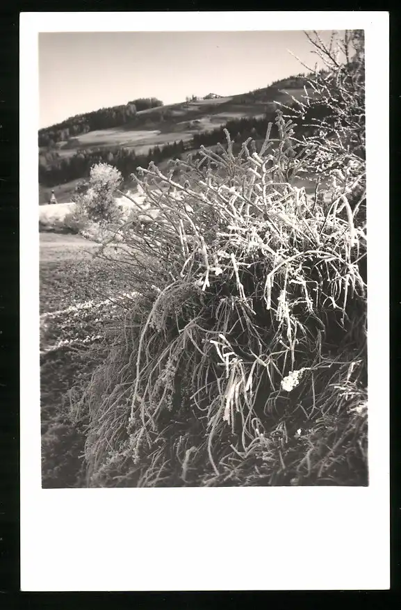 550 Fotografien Neue Sachlichkeit, Ansicht Hofgastein, 30er-40er Jahre, Amateurfotograf Franz Schneider, Österreich 16