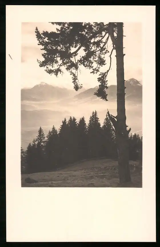 550 Fotografien Neue Sachlichkeit, Ansicht Hofgastein, 30er-40er Jahre, Amateurfotograf Franz Schneider, Österreich 19