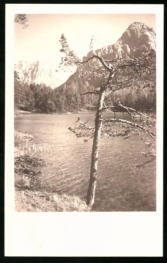 550 Fotografien Neue Sachlichkeit, Ansicht Hofgastein, 30er-40er Jahre, Amateurfotograf Franz Schneider, Österreich 2