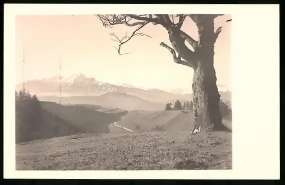 550 Fotografien Neue Sachlichkeit, Ansicht Hofgastein, 30er-40er Jahre, Amateurfotograf Franz Schneider, Österreich 22