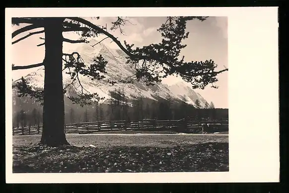 550 Fotografien Neue Sachlichkeit, Ansicht Hofgastein, 30er-40er Jahre, Amateurfotograf Franz Schneider, Österreich 28