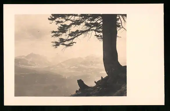 550 Fotografien Neue Sachlichkeit, Ansicht Hofgastein, 30er-40er Jahre, Amateurfotograf Franz Schneider, Österreich 33