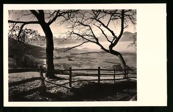 550 Fotografien Neue Sachlichkeit, Ansicht Hofgastein, 30er-40er Jahre, Amateurfotograf Franz Schneider, Österreich 41