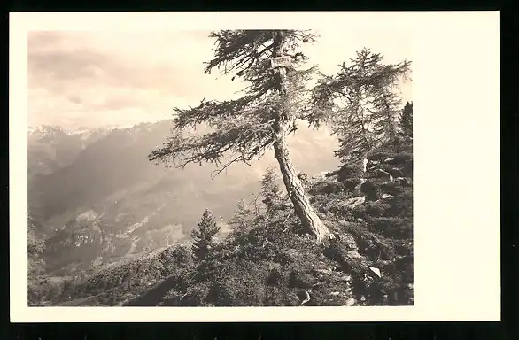 550 Fotografien Neue Sachlichkeit, Ansicht Hofgastein, 30er-40er Jahre, Amateurfotograf Franz Schneider, Österreich 46