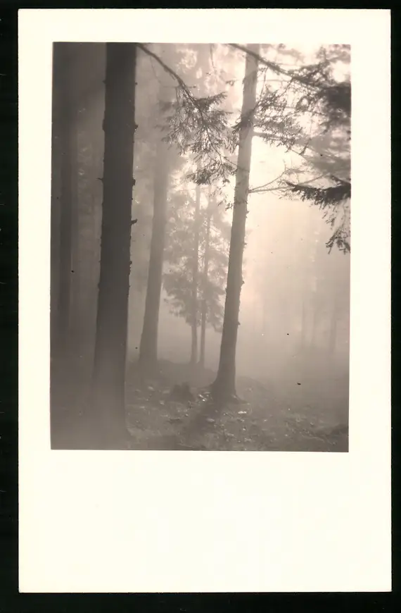 550 Fotografien Neue Sachlichkeit, Ansicht Hofgastein, 30er-40er Jahre, Amateurfotograf Franz Schneider, Österreich 5