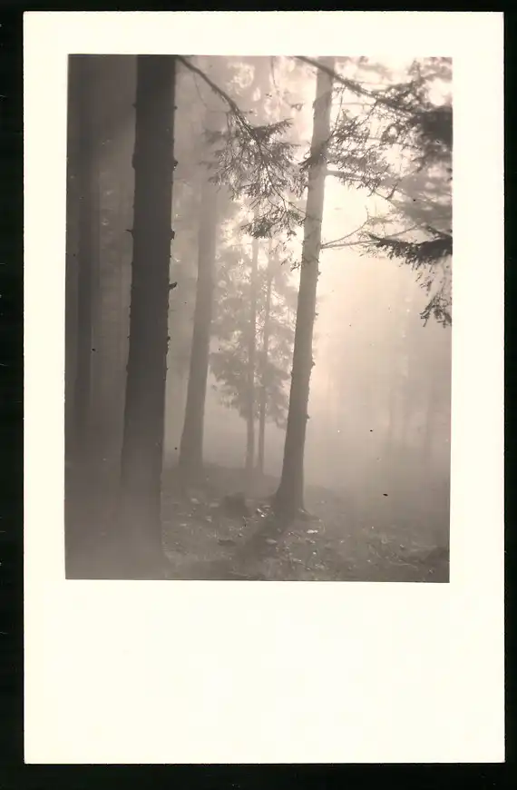 550 Fotografien Neue Sachlichkeit, Ansicht Hofgastein, 30er-40er Jahre, Amateurfotograf Franz Schneider, Österreich 5