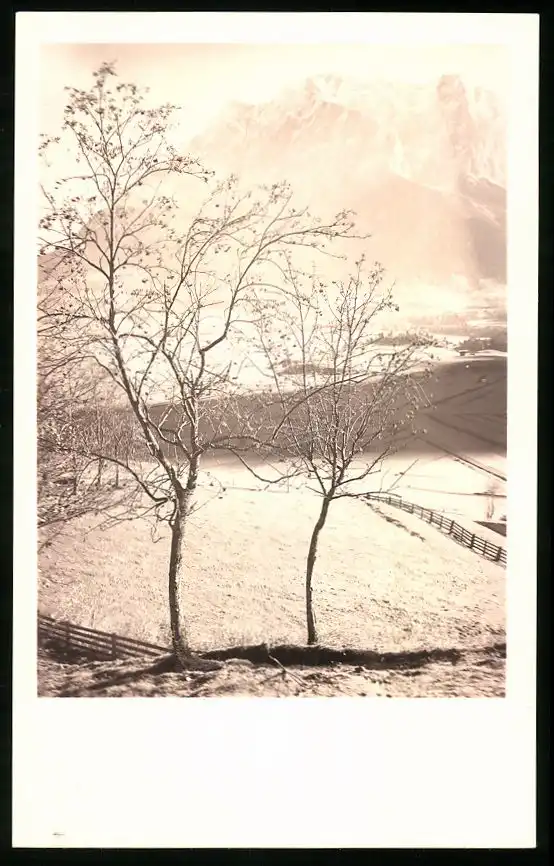 550 Fotografien Neue Sachlichkeit, Ansicht Hofgastein, 30er-40er Jahre, Amateurfotograf Franz Schneider, Österreich 61