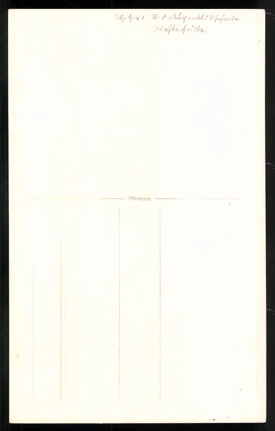 550 Fotografien Neue Sachlichkeit, Ansicht Hofgastein, 30er-40er Jahre, Amateurfotograf Franz Schneider, Österreich 84