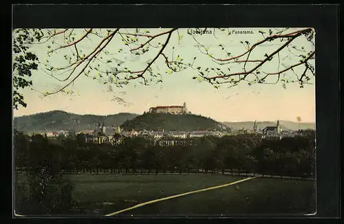 AK Ljubljana, Panorama