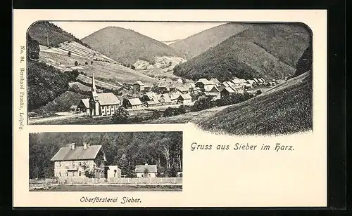 AK Sieber im Harz, Ortsansicht mit Oberförsterei Sieber
