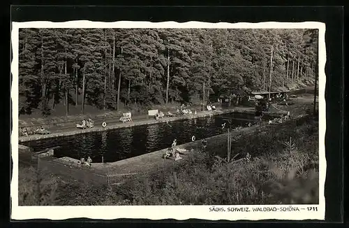 AK Schöna /Sächs. Schweiz, Waldbad mit Badegästen