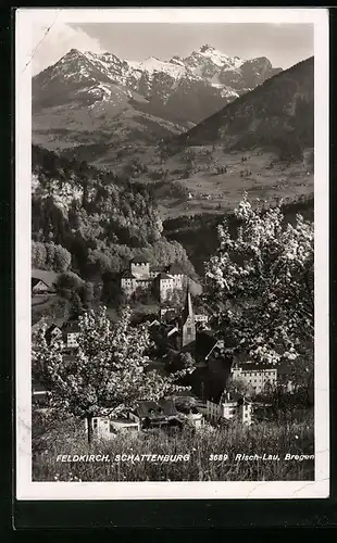 AK Feldkirch, Panorama mit Ort und Schattenburg im Frühling