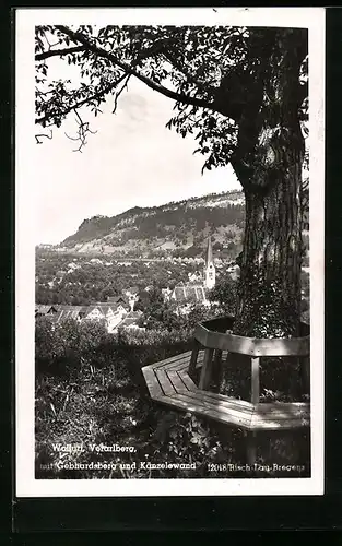 AK Wolfurt, Teilansicht mit Gebhardsberg und Känzelewand