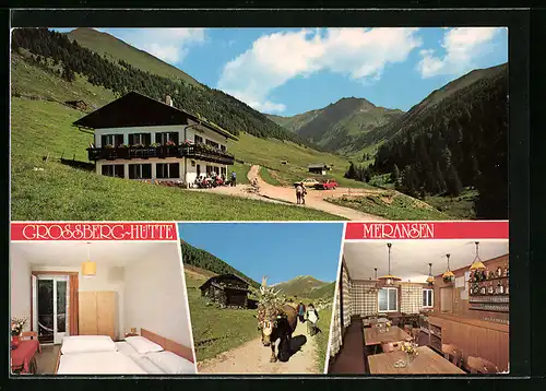 AK Meransen bei Mühlbach, Pension Grossberg-Hütte, Almabtrieb