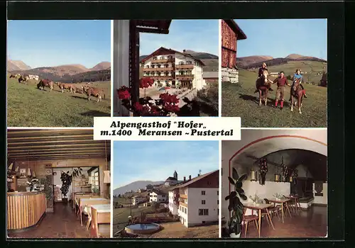 AK Meransen bei Mühlbach, Alpengasthof Hofer, Ortspartie, Kühe, Ponyreiten