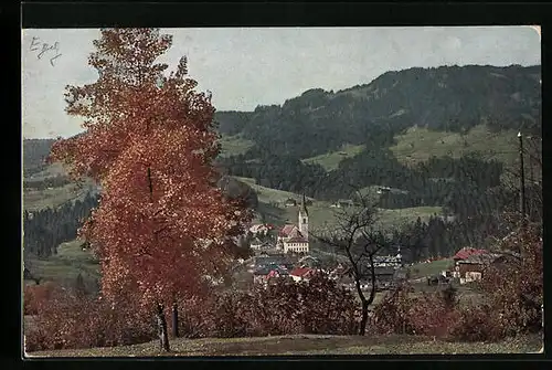 AK Egg i. Breg. Wald, Ortsansicht mit Kirche im Herbst