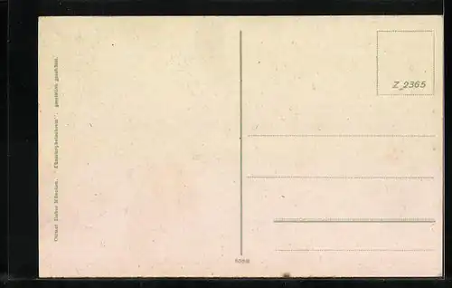 AK Salzburg, Westbahnstrasse mit Strassenbahn von oben gesehen