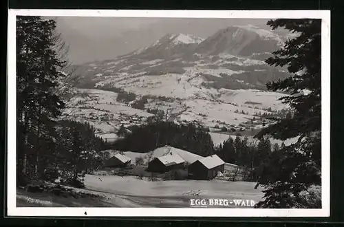 AK Egg /Breg. Wald, Teilansicht mit Bergen im Schnee