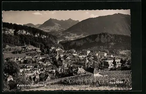 AK Feldkirch, Teilansicht mit Kirche und Bergen