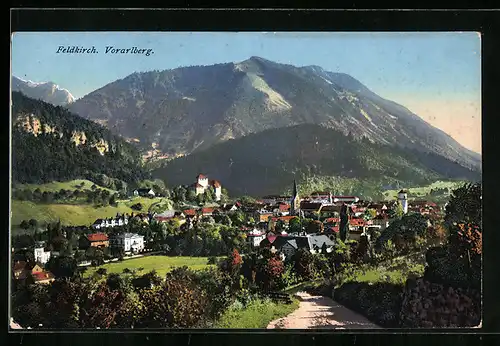 AK Feldkirch, Ortsansicht mit Landstrasse und Umgebung