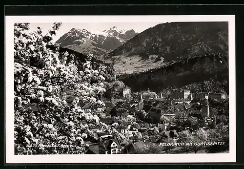 AK Feldkirch, Teilansicht mit blühendem Baum