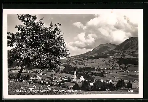 AK Egg, Gesamtansicht mit Winterstaude vom Flugzeug aus