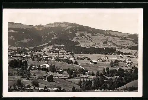 AK Andelsbuch, Gesamtansicht mit Strasse und Wiesen
