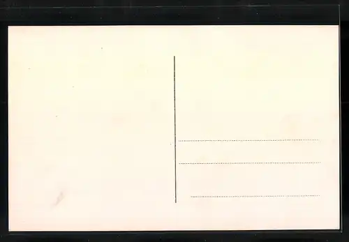 AK Feldkirch, Ortsansicht mit Fernblick aus der Vogelschau