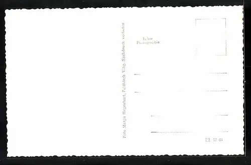 AK Feldkirch, Schattenburg vor Gebirgskette