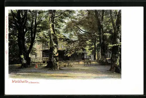 AK Sassnitz, Gasthaus Waldhalle