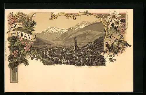 Lithographie Meran, Panoramablick auf die Stadt und ins Tal