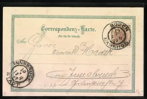 Lithographie Meran, Gilfanlage, Totalansicht, Zenoburg