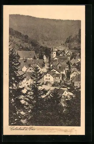 AK Calmbach a. Enz, Ortsansicht aus der Vogelschau