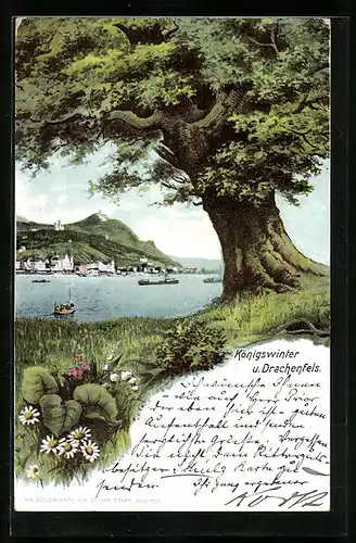 AK Königswinter, Ortsansicht mit Rheinpartie und Drachenfels