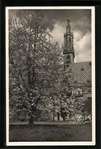 AK Bolzano, Il Duomo