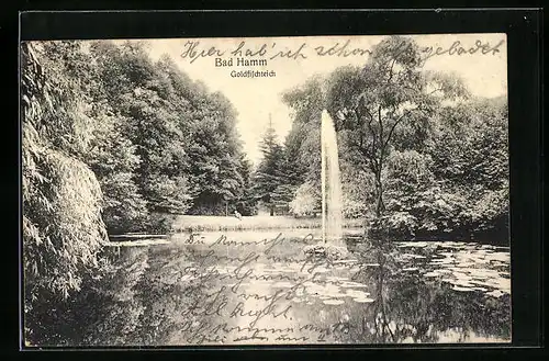 AK Bad Hamm, Goldfischteich